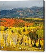 Buffalo Pass Steamboat Springs Co Acrylic Print