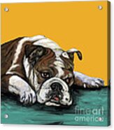 Bulldog On Yellow Acrylic Print