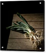 Bunch Of Spring Onions Tied With Acrylic Print