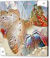 Butterflies Geometric 2 Acrylic Print