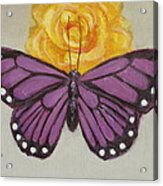 Butterfly #1 Acrylic Print