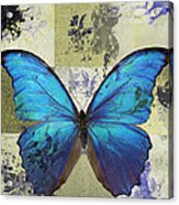 Butterfly Art - S02b Acrylic Print