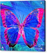 Butterfly Dsc2969p32 Square Acrylic Print