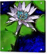 Butterfly Garden 10 - Water Lily Acrylic Print