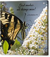 Butterfly On White Bush With Scripture Acrylic Print