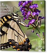 Butterfly Scripture Acrylic Print