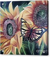 Butterfly Series 5 Acrylic Print
