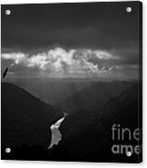 Buzzard Flying In Gorge Acrylic Print