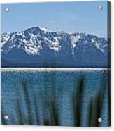 By The Shores Of Lake Tahoe Acrylic Print