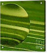 C Ribet Orbscape Green Jupiter Acrylic Print