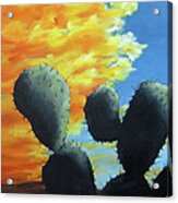 Cacti At Sunset Acrylic Print
