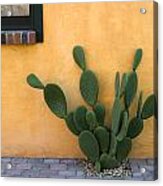Cactus And Yellow Wall Acrylic Print
