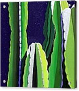 Cactus In The Desert Moonlight Acrylic Print