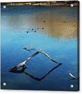 Calm Water At The Lake Acrylic Print