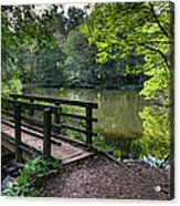 Cannock Chase Panorama 2 Acrylic Print