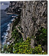 Capri Krupp Path Rocks Coast Acrylic Print