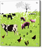 Carbon Footprints Of Farm Animals Acrylic Print