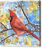 Cardinal Rule Acrylic Print