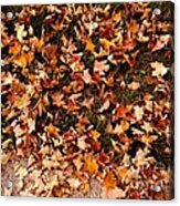 Carpet Of Autumn Leaves Acrylic Print