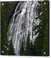 Carter Falls At Mount Rainier Acrylic Print