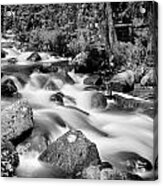 Cascading Rocky Mountain Forest Creek Bw Acrylic Print