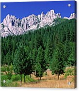 Castle Crags From South Acrylic Print