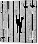 Cat And Mouse Fence Gate Acrylic Print