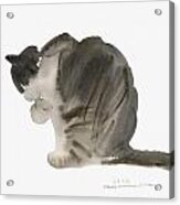 Cat Acrylic Print