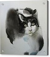 Cat In Black And White Acrylic Print