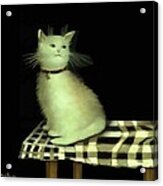 Cat On Checkered Tablecloth   No. 4 Acrylic Print