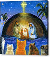 Cats At The Nativity Acrylic Print