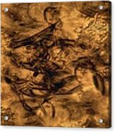 Cave Painting Acrylic Print
