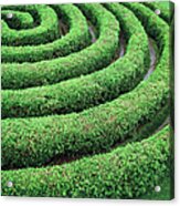 Cedar Maze Acrylic Print