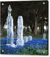 Cemetery Bluebonnets Acrylic Print
