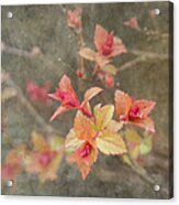 Change Of Seasons Acrylic Print