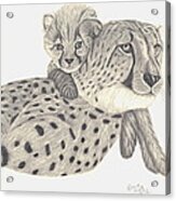 Cheetah And Her Cub 1 Acrylic Print