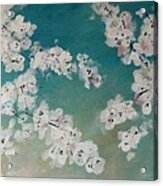 Cherry Blossoms Against Sky Acrylic Print