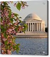 Cherry Blossoms And The Jefferson Memorial 3 Acrylic Print