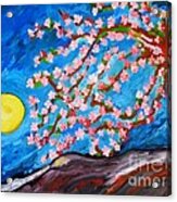 Cherry Tree In Blossom Acrylic Print
