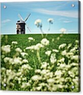 Chesterton Windmill Acrylic Print