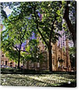 Chicago Morning In Water Tower Park Acrylic Print