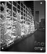 Chicago River Infrared Acrylic Print