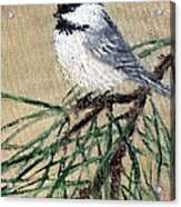 Chickadee Set 17 Bird 2 Detail Print Acrylic Print