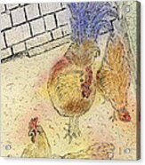 Chickens At Pei Acrylic Print