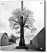 Chimney Tree Acrylic Print