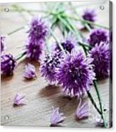 Chives Acrylic Print