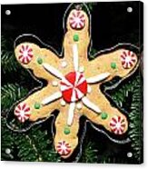 Christmas Cookie Acrylic Print