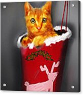 Christmas Kitten Acrylic Print