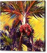 S Christmas Palm Tree In Yellow - Square Acrylic Print