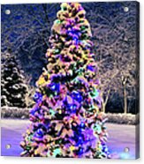 Christmas Tree In Snow Acrylic Print